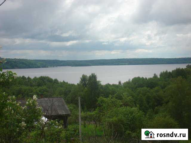 Участок ИЖС 16 сот. на продажу в Наволоках Наволоки - изображение 1