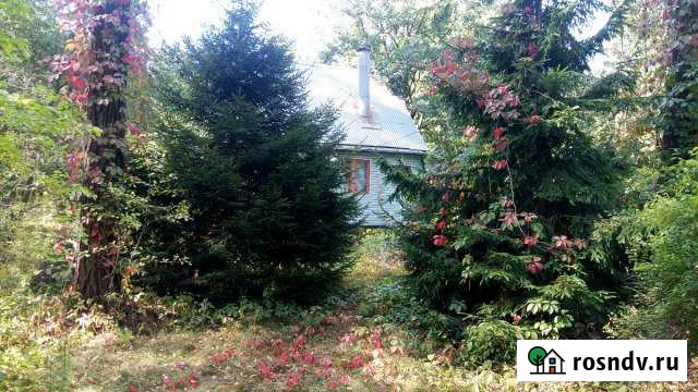 Дом 40 м² на участке 24 сот. на продажу в Королеве Королев - изображение 1