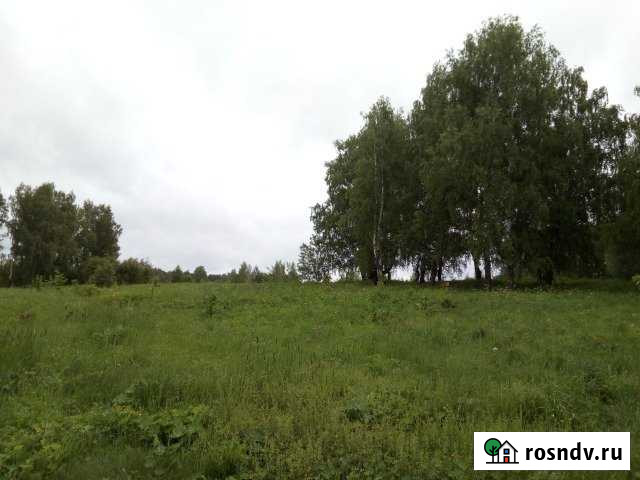 Участок СНТ, ДНП 15 сот. на продажу в Плесе Плес - изображение 1