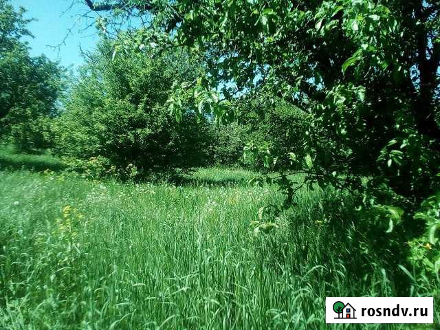 Участок ИЖС 50 сот. на продажу в Землянске Землянск - изображение 1