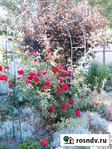 Дача 21 м² на участке 7.3 сот. на продажу в Электроугли Электроугли - изображение 1