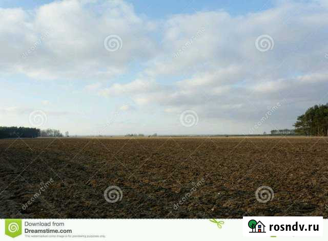 Участок СНТ, ДНП 830 сот. на продажу в Целине Целина - изображение 1