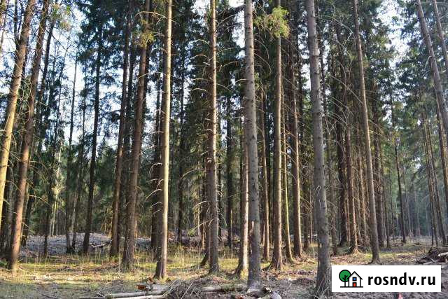 Участок ИЖС 9 сот. на продажу в Некрасовском Московской области Некрасовский - изображение 1