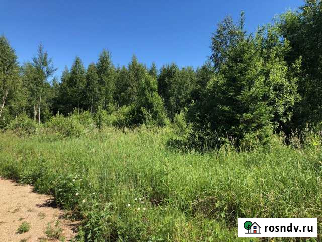 Участок СНТ, ДНП 20 сот. на продажу в Дмитрове Дмитров - изображение 1