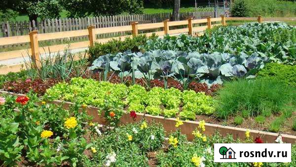 Участок СНТ, ДНП 340 сот. на продажу в Комсомольске-на-Амуре Комсомольск-на-Амуре - изображение 1