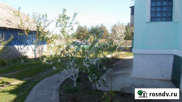 Дом 150 м² на участке 17 сот. на продажу в Павловске Воронежской области Павловск - изображение 1