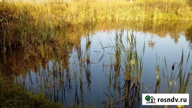 Участок СНТ, ДНП 8 сот. на продажу в Арзамасе Арзамас - изображение 1