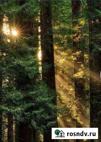 Дом 58 м² на участке 11 сот. в аренду посуточно в Рязани Рязань - изображение 1