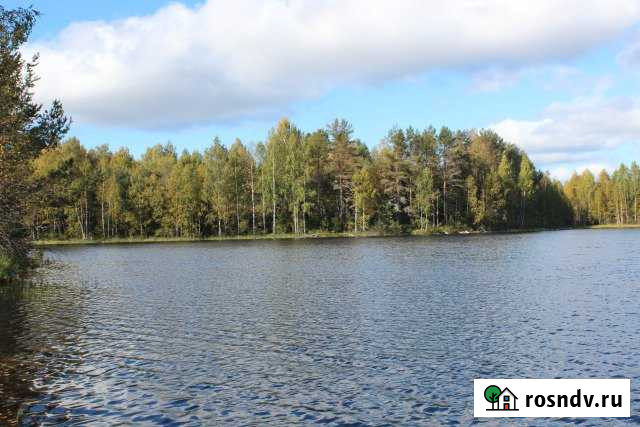 Участок СНТ, ДНП 450 сот. на продажу в Пряже Пряжа - изображение 1