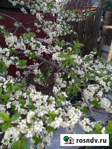 Коттедж 205 м² на участке 10 сот. на продажу в Рязани Рязань - изображение 1