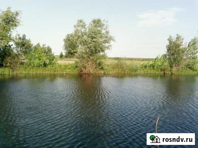 Участок СНТ, ДНП 100 сот. на продажу в Энгельсе Энгельс - изображение 1