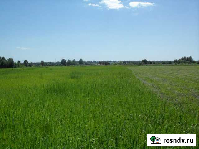 Участок СНТ, ДНП 390 сот. на продажу в Кокино Кокино - изображение 1