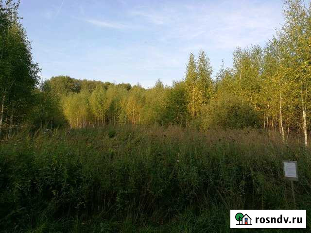 Участок СНТ, ДНП 7 сот. на продажу в Вербилках Вербилки - изображение 1