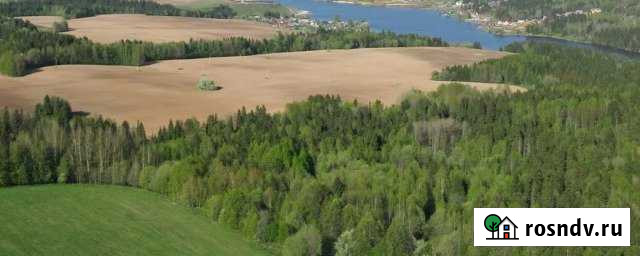 Участок ИЖС 1100 сот. на продажу в Кукуштане Кукуштан - изображение 1