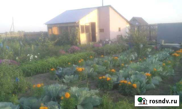 Дача 40 м² на участке 10 сот. на продажу в Рубцовске Рубцовск - изображение 1