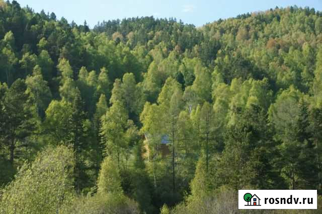 Участок ИЖС 13 сот. на продажу в Выдрино Выдрино - изображение 1