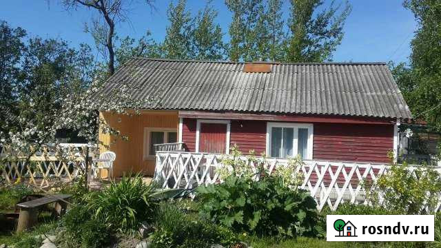 Дом 50 м² на участке 20 сот. в аренду посуточно в Олонце Олонец - изображение 1