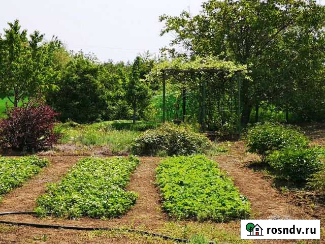 Дача 36 м² на участке 20 сот. на продажу в Дубовке Волгоградской области Дубовка - изображение 1