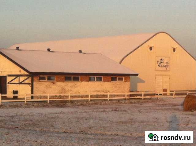 Здание.Ангар Славгород - изображение 1