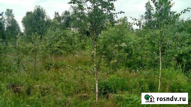 Участок ИЖС 12 сот. на продажу в Байкальске Байкальск - изображение 1