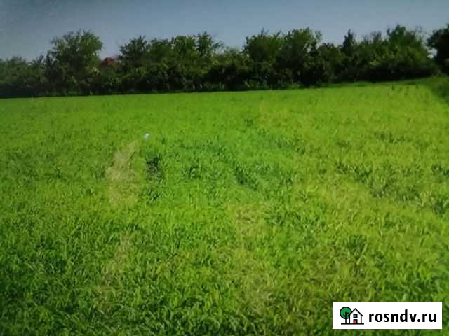 Участок СНТ, ДНП 560 сот. на продажу в Электрогорске Электрогорск - изображение 1