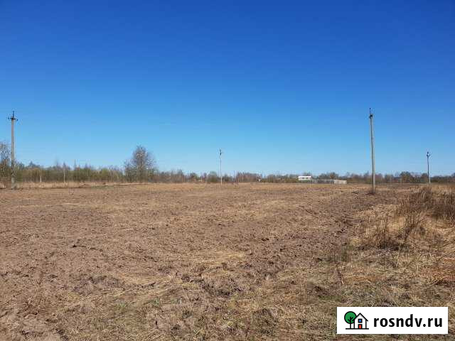 Участок СНТ, ДНП 45 сот. на продажу в Добруне Добрунь - изображение 1