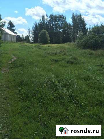 Участок ИЖС 50 сот. на продажу в Кесовой Горе Кесова Гора - изображение 1