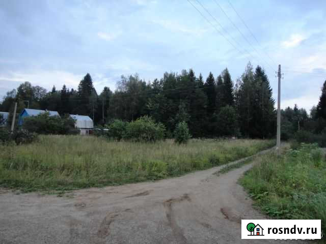 Участок СНТ, ДНП 20 сот. на продажу в Балакирево Балакирево - изображение 1