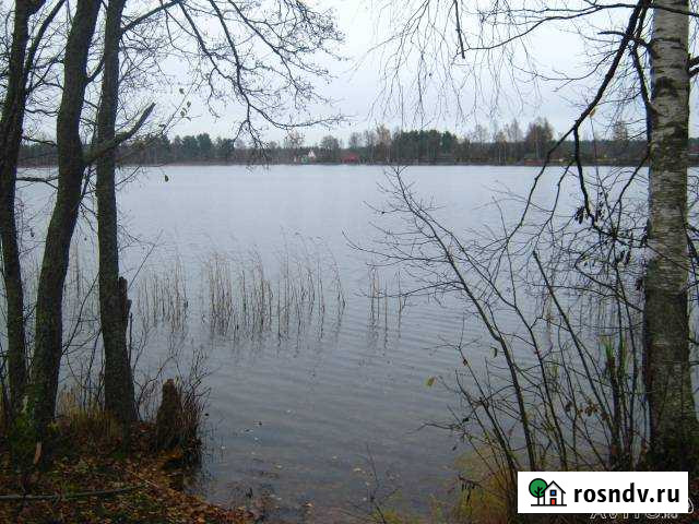 Участок СНТ, ДНП 30 сот. на продажу в Середке Середка - изображение 1