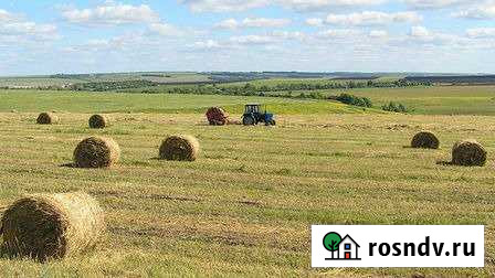 Участок СНТ, ДНП 4640 сот. на продажу в Поспелихе Поспелиха - изображение 1