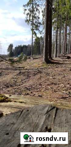 Участок ИЖС 10 сот. на продажу в Первомайском Ленинградской области Первомайское - изображение 1