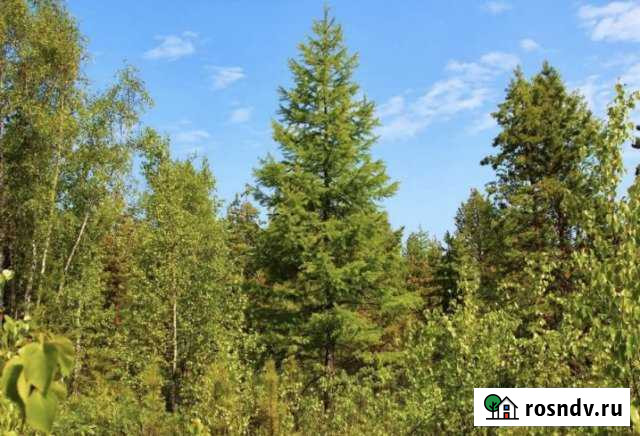 Участок СНТ, ДНП 10 сот. на продажу в Агалатово Агалатово - изображение 1