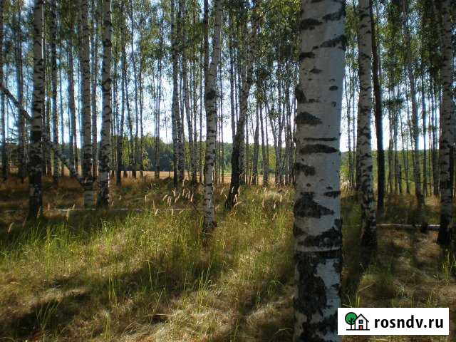 Участок СНТ, ДНП 1477 сот. на продажу в Лежнево Лежнево - изображение 1