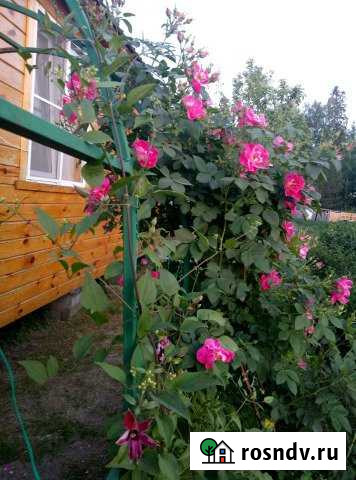 Дача 24 м² на участке 7 сот. на продажу в Коврове Ковров - изображение 1