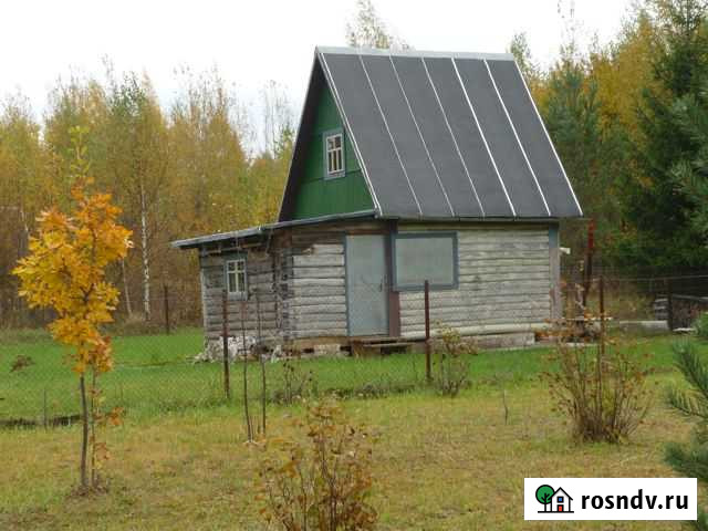 Участок СНТ, ДНП 6 сот. на продажу в Редкино Редкино - изображение 1