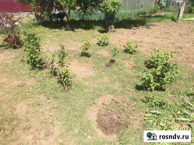 Участок СНТ, ДНП 6 сот. на продажу в Белоомуте Белоомут - изображение 1