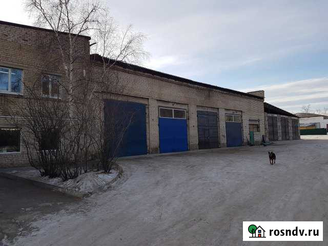 Помещение свободного назначения, 150 кв.м. Чита - изображение 1