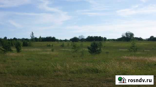 Участок СНТ, ДНП 880 сот. на продажу на Лугах Луга - изображение 1