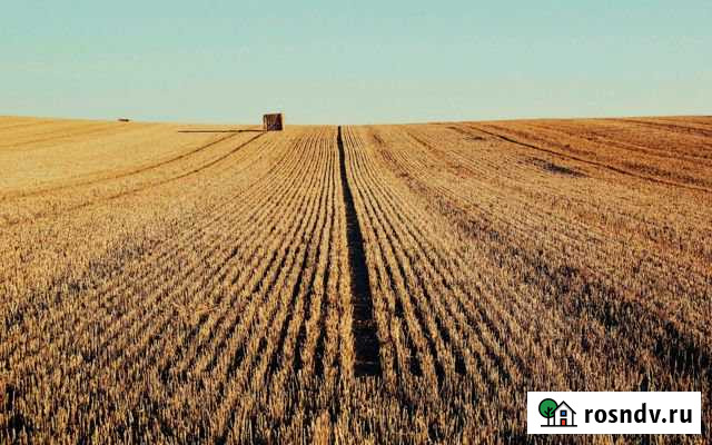 Участок СНТ, ДНП 400 сот. на продажу в Старом Крыме Старый Крым - изображение 1