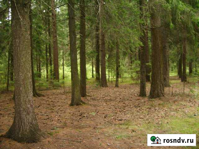 Участок ИЖС 27 сот. на продажу в Мичуринске Мичуринск - изображение 1