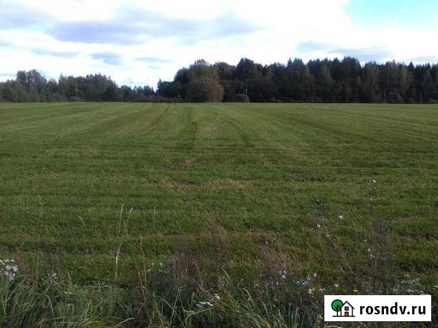 Участок СНТ, ДНП 446 сот. на продажу в Печорах Печоры - изображение 1