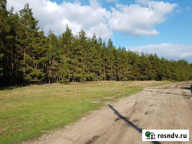 Участок СНТ, ДНП 38 сот. на продажу в Новой Усмани Новая Усмань - изображение 1