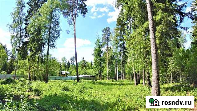 Участок ИЖС 54 сот. на продажу в Больших Вяземах Большие Вяземы - изображение 1