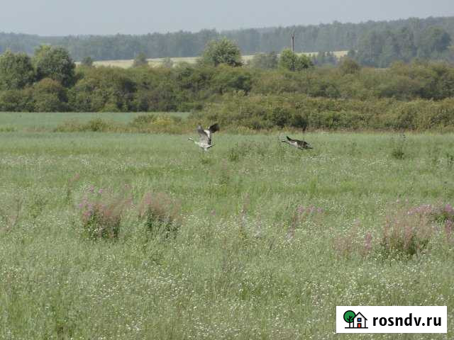 Участок СНТ, ДНП 2500 сот. на продажу в Катайске Катайск - изображение 1