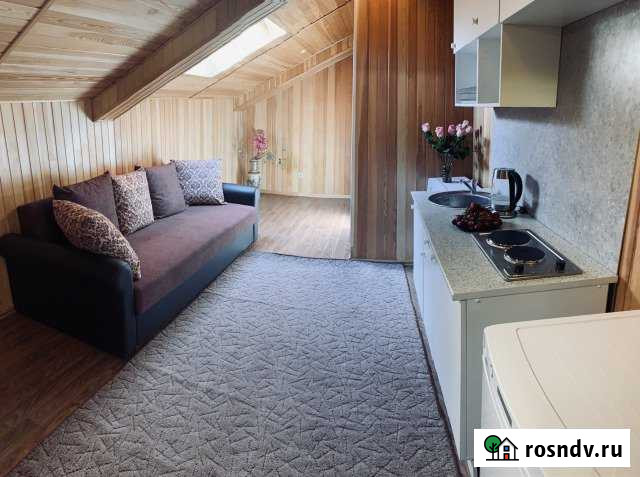 Квартира-студия, 27 м², 9/9 эт. в аренду на длительный срок в Лесном Городке Лесной Городок - изображение 1