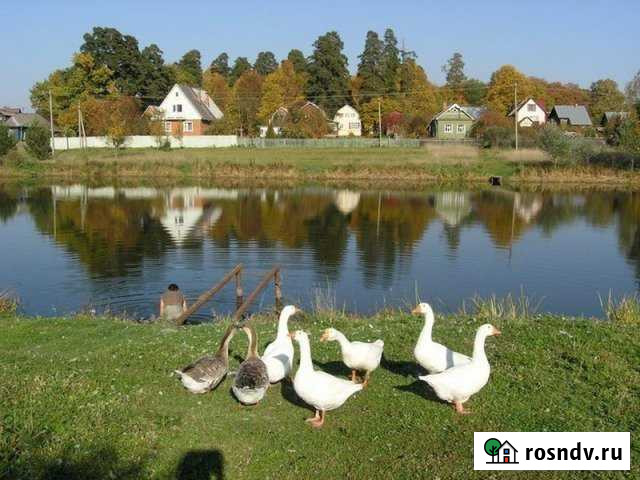 Дом 100 м² на участке 5 сот. на продажу во Власихе Власиха - изображение 1