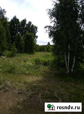 Участок СНТ, ДНП 12 сот. на продажу в Долгодеревенском Долгодеревенское - изображение 1