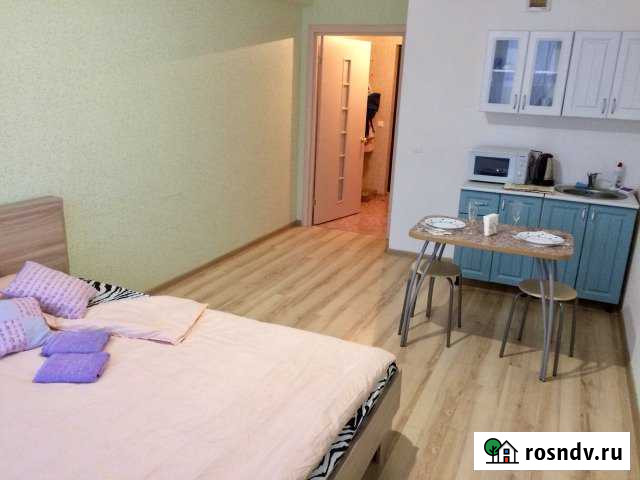 Квартира-студия, 25 м², 5/17 эт. в аренду посуточно в Ижевске Ижевск - изображение 1