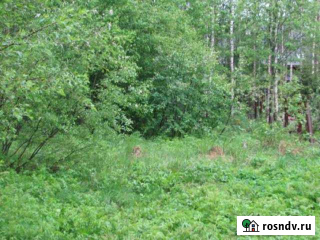 Участок СНТ, ДНП 6 сот. на продажу в Приладожском Приладожский - изображение 1