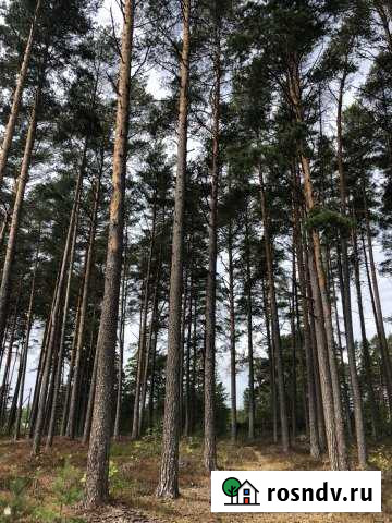 Участок ИЖС 22 сот. на продажу в Приморске Ленинградской области Приморск - изображение 1